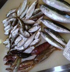魚釣り_c0210829_192479.jpg