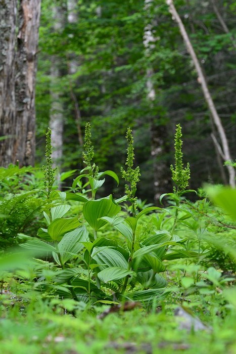 b0236334_21462726.jpg