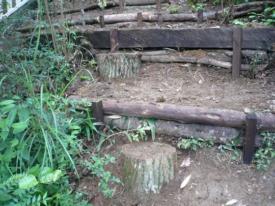 f0090444_2257254.jpg