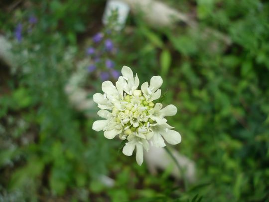 f0090444_2321112.jpg