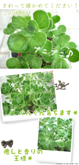 d0055259_21584570.png