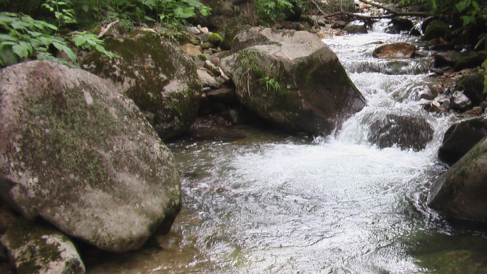 b0208961_92082.jpg