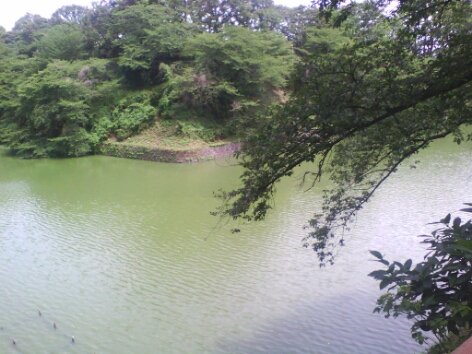 a0222070_1658041.jpg