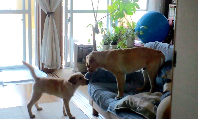 f0243073_165391.jpg