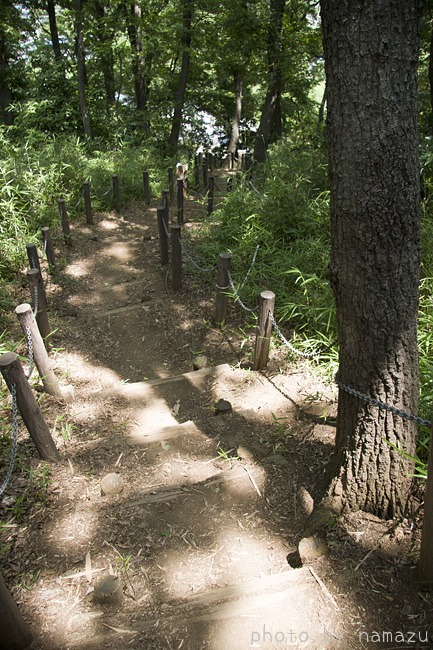 b0280176_1781777.jpg