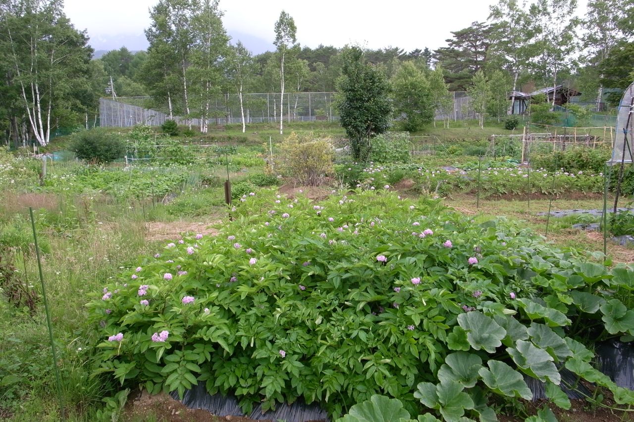 f0124378_20211213.jpg