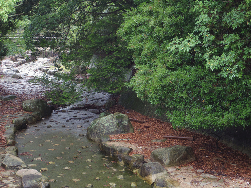 あせび歩道から大聖院_c0051781_19535878.jpg