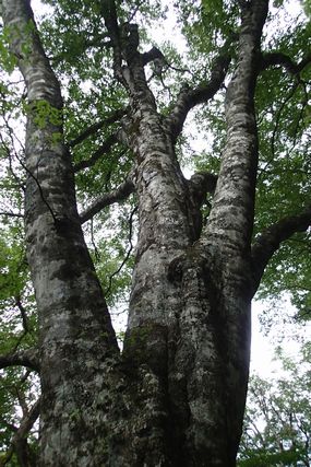 b0108186_09717.jpg