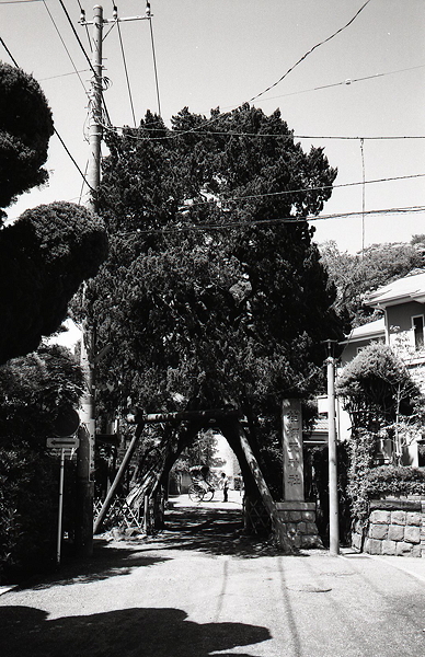 c0214494_21483818.jpg