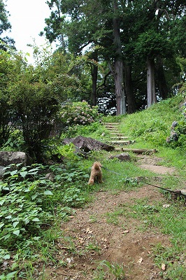 小田原 日帰り 石垣山一夜城歴史公園_e0227996_21152261.jpg