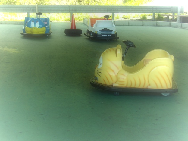 乗って遊ぼう バッテリーカー +° *+_d0235898_2275856.jpg