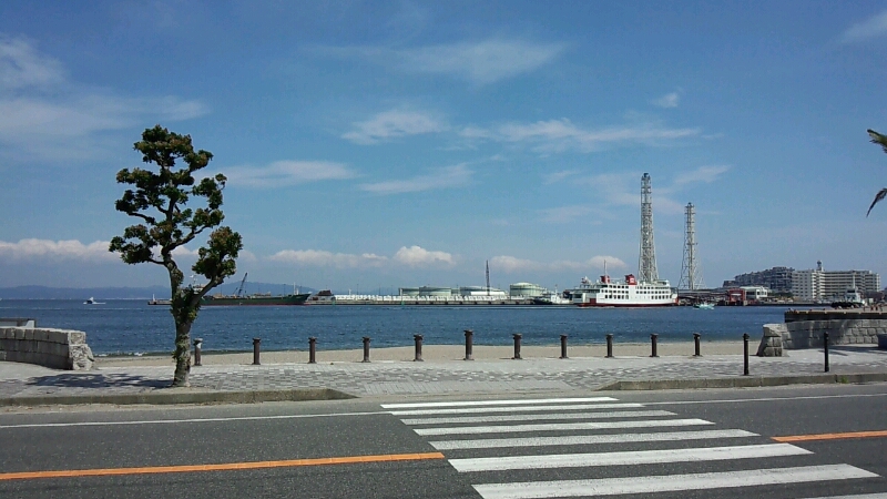 2013年夏 参議院選期日前投票　ペリー来航160年！　サスケハナコ号に遭遇_d0092901_1419118.jpg