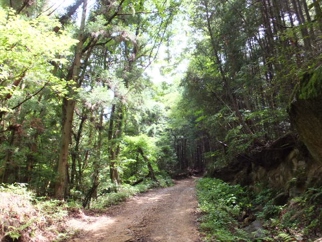a0271502_13545654.jpg