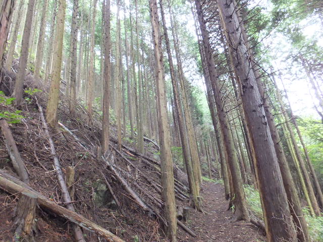 a0271502_16202333.jpg