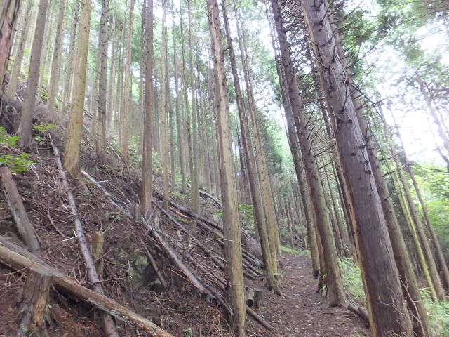 屏風山（びょうぶざん）_a0271502_16202333.jpg