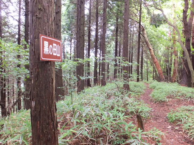 a0271502_16375458.jpg
