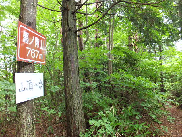 a0271502_16411260.jpg