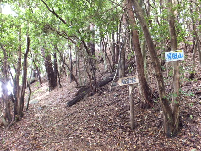 a0271502_16452435.jpg