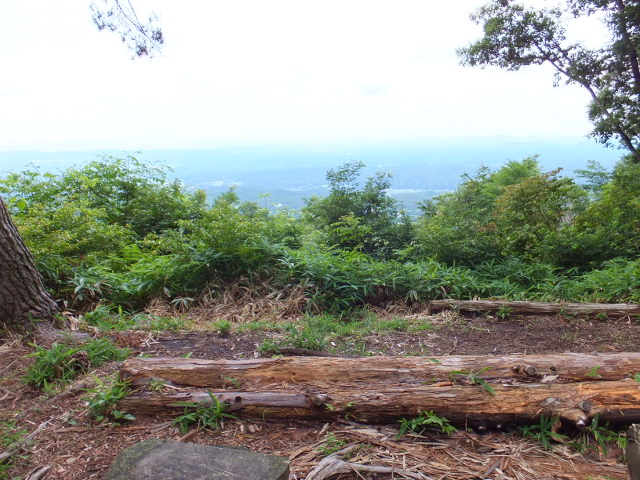 a0271502_1712580.jpg