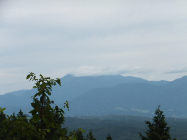 a0271502_178337.jpg
