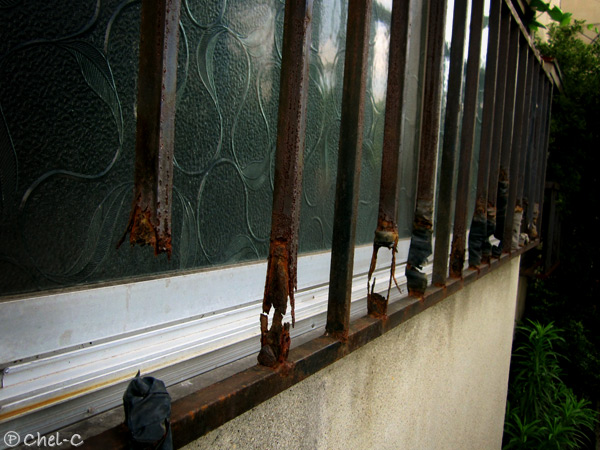 a0154706_1213559.jpg