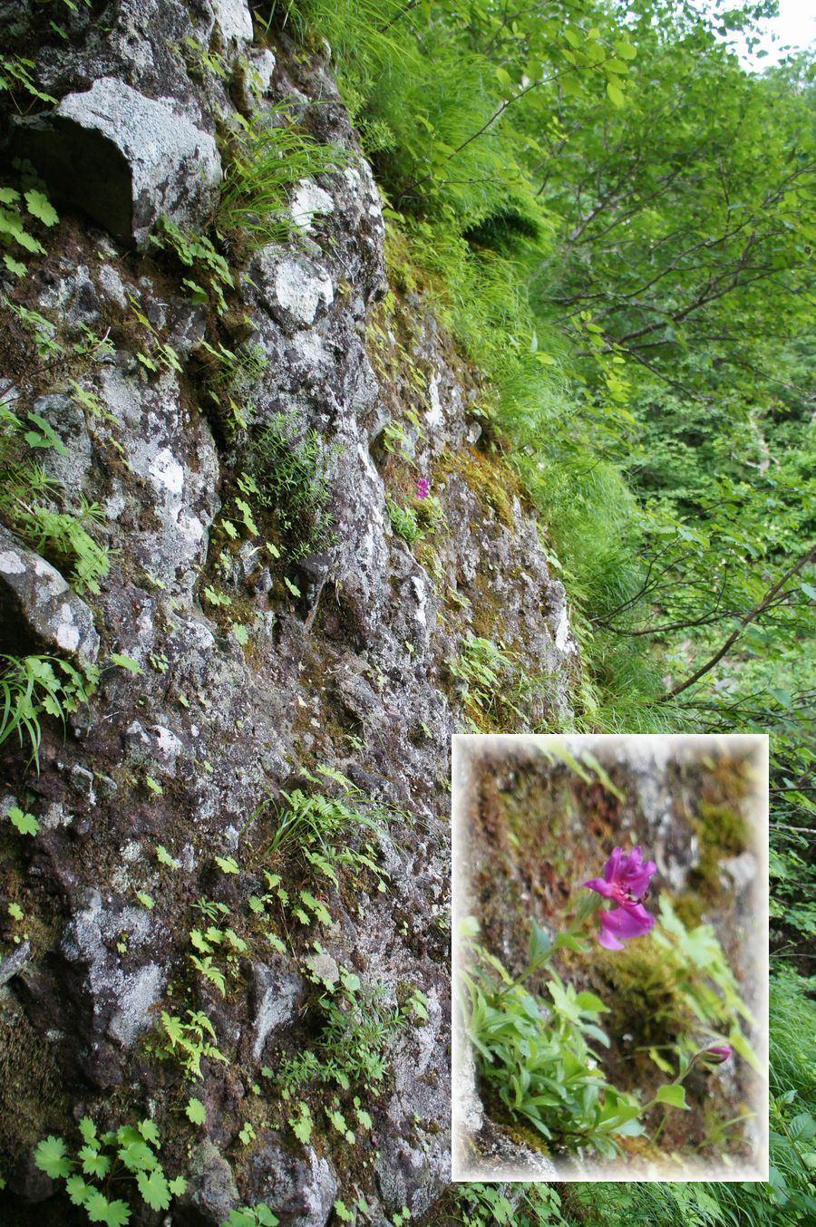 a0248508_10102961.jpg