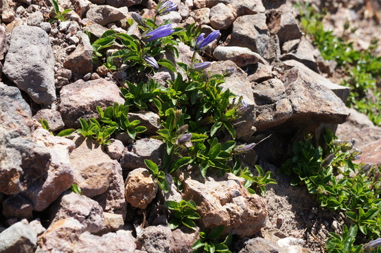 a0248508_10145770.jpg