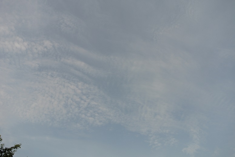 f0179209_13451569.jpg