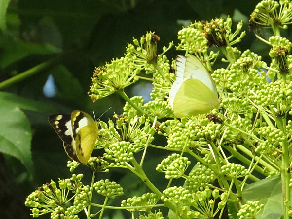 b0033112_22121392.jpg