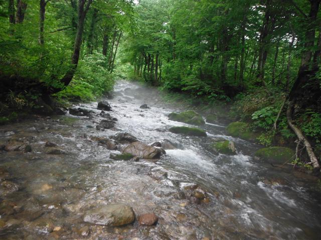 a0127015_16461232.jpg