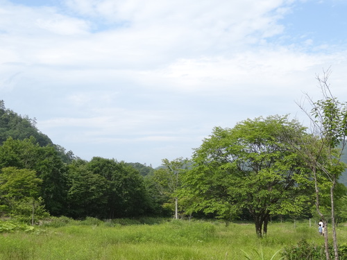 viva camp in hokkaido