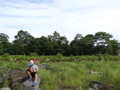 viva camp in hokkaido