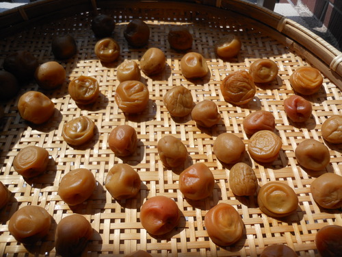 e0240925_0551452.jpg