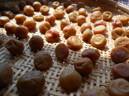 e0240925_0563813.jpg