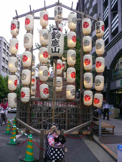 ワンコとお出かけ 祇園祭り 宵山_c0223630_15172213.jpg