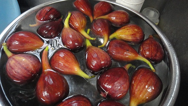 f0208737_8384567.jpg