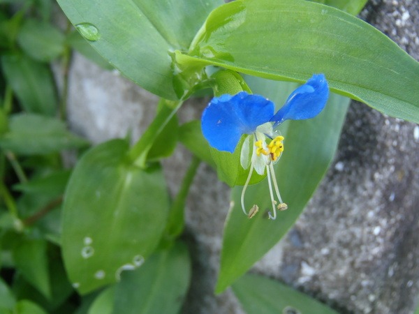 a0054240_012227.jpg