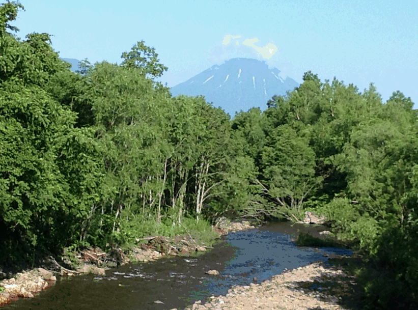 Abiru様/尻別川支流_e0202845_1853931.gif