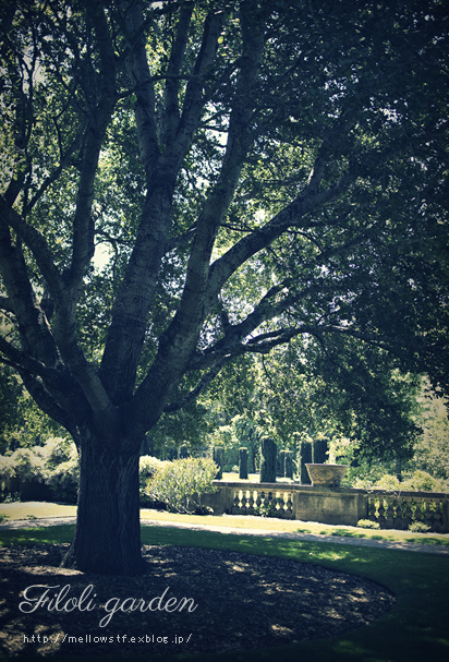 back to CA 2013 - green of Filoli -_d0124248_20241367.jpg