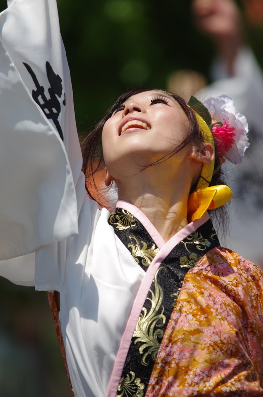  銭形よさこい２０１３その２（いよさこい!!華魅）_a0009554_194646.jpg