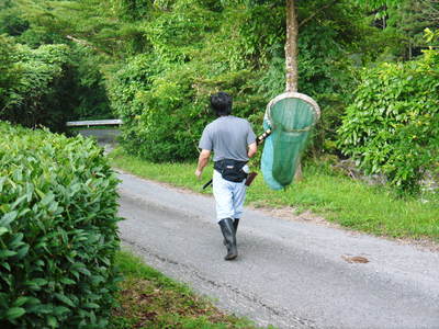 株式会社旬援隊 初夏の田舎暮らし満喫中!_a0254656_19383730.jpg