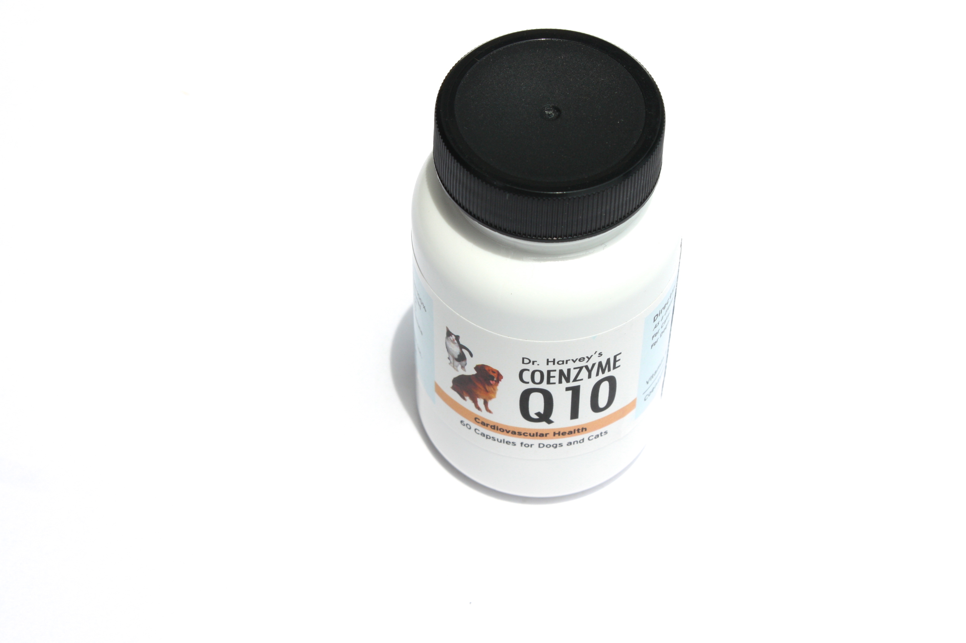 Dr. Harvey\'s COENZYME Q10 ドクターハーヴィーズ コエンザイム Q 10_d0217958_1247364.jpg