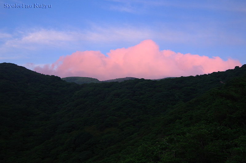 c0288262_135438100.jpg