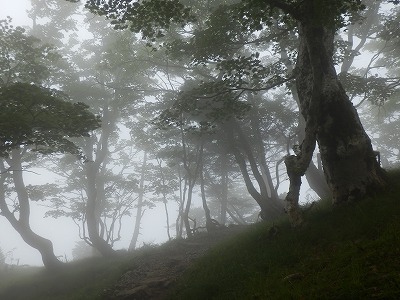 弥山　2013.7.13_f0057070_23373624.jpg