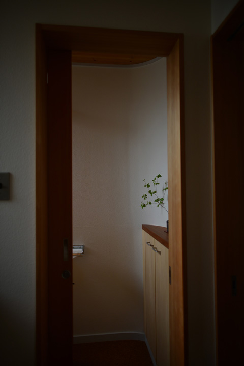 朝の光_d0031378_1302785.jpg