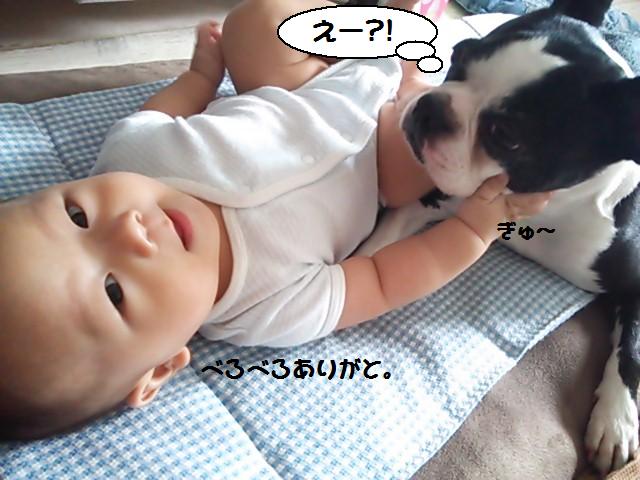 ★子守りする犬★_d0187891_11382985.jpg