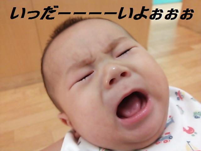 ★子守りする犬★_d0187891_1139238.jpg