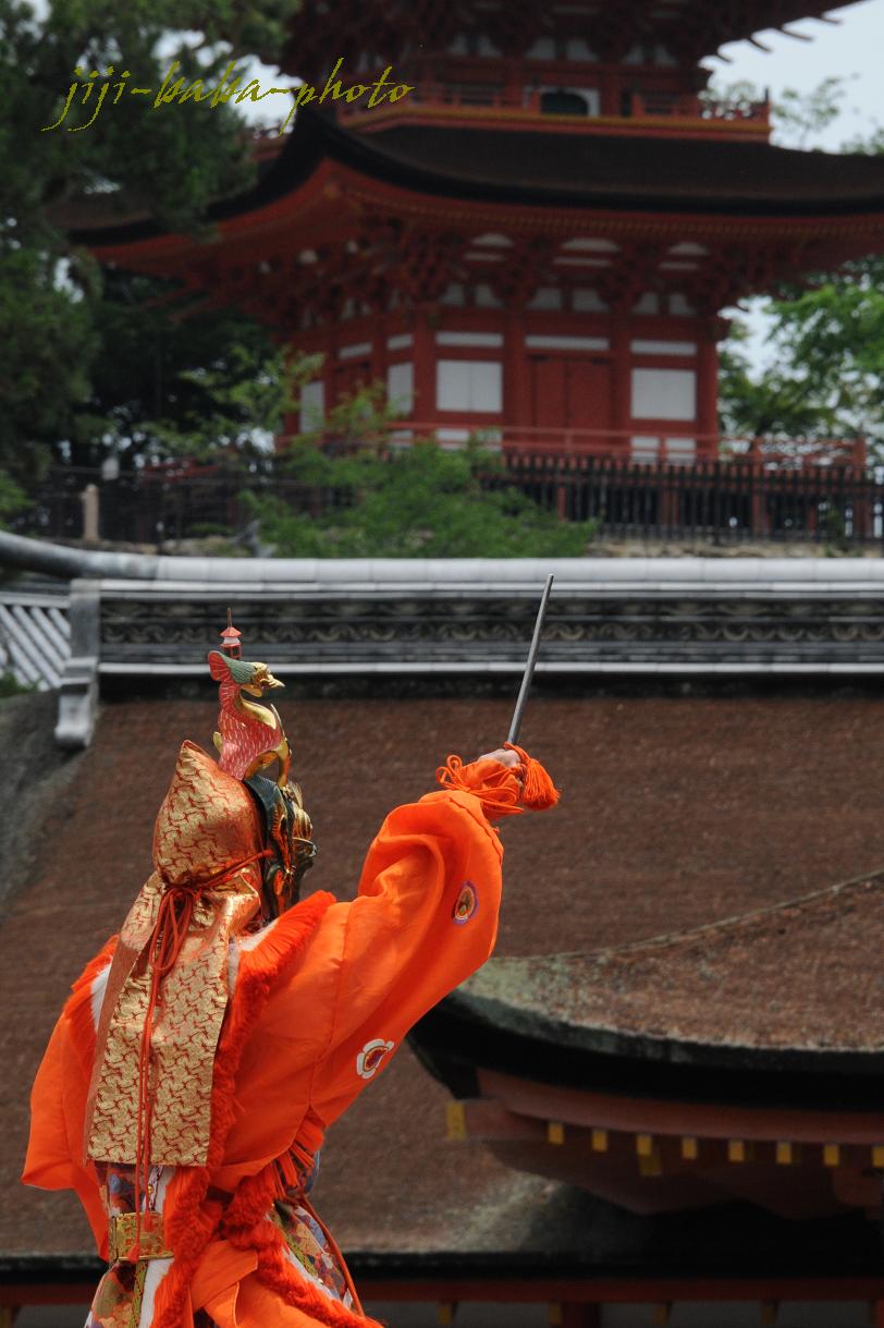 厳島神社　市立祭_d0239891_1711579.jpg