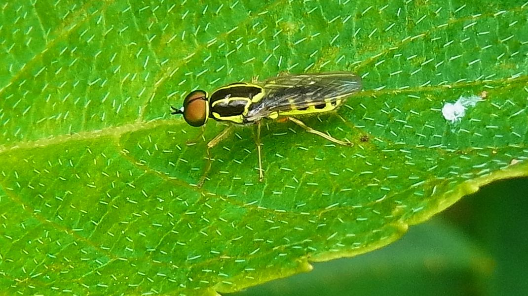 a0152692_20193754.jpg