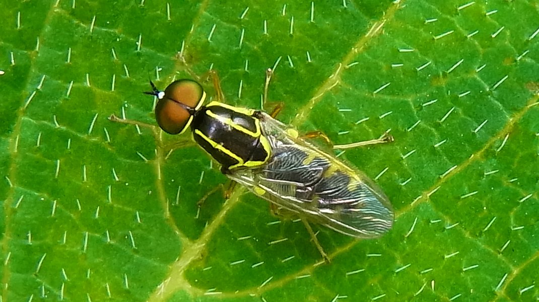 a0152692_20195056.jpg